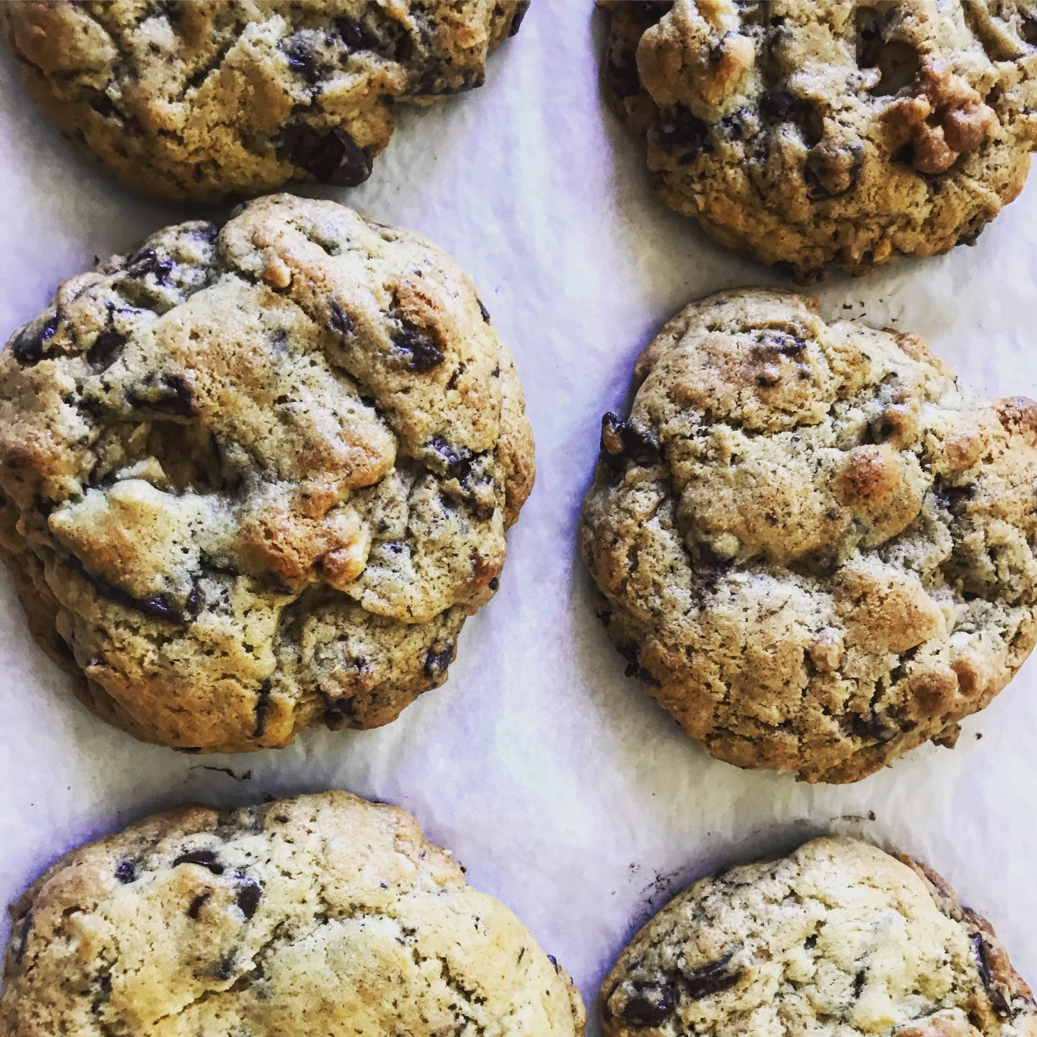 Chocolate Chunk Walnut Cookie